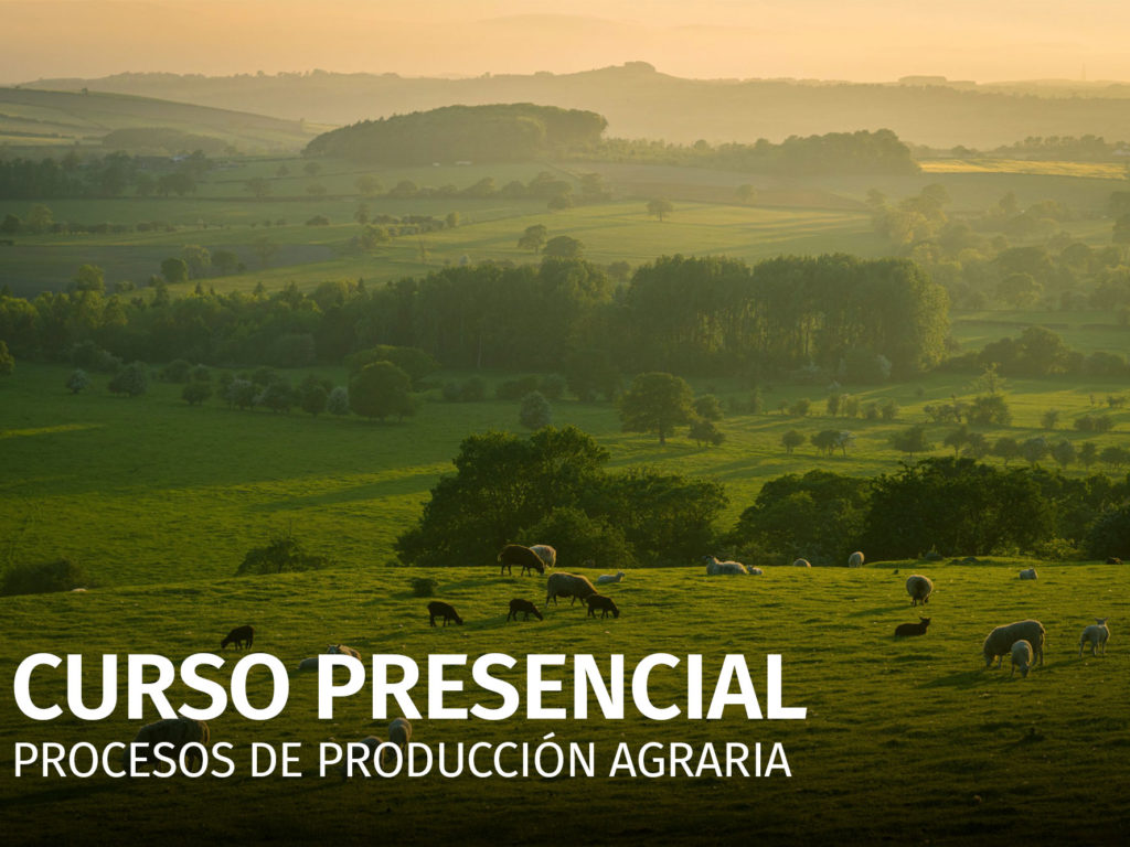 Curso Presencial Procesos de producción Agraria